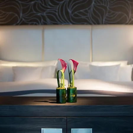 Vital Rhein Main Therme Wellness & Hotel 4*