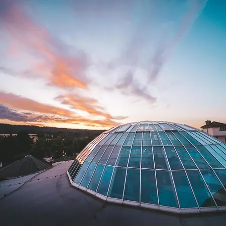 Hotel Vital Rhein Main Therme Wellness & Hofheim am Taunus