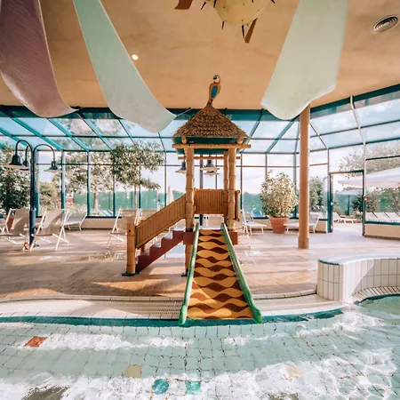 Vital Rhein Main Therme Wellness & Hotel